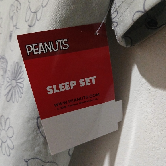 Peanuts Charlie Brown, Snoopy & Friends Women’s gray Pajama Set Size: L (NEW) - Picture 4 of 9